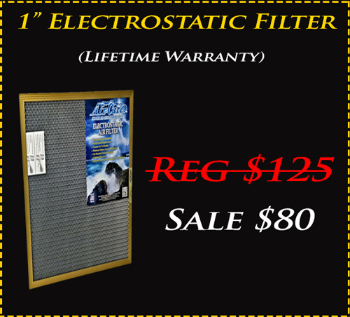 1" Gold electrostatic filter $80